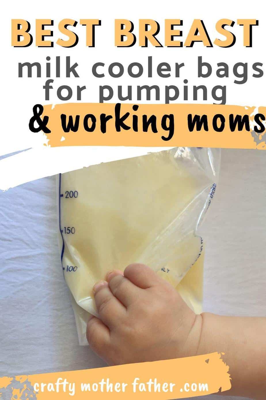 14 Best Breast Milk Cooler Bags 2021 Solutions Mommy