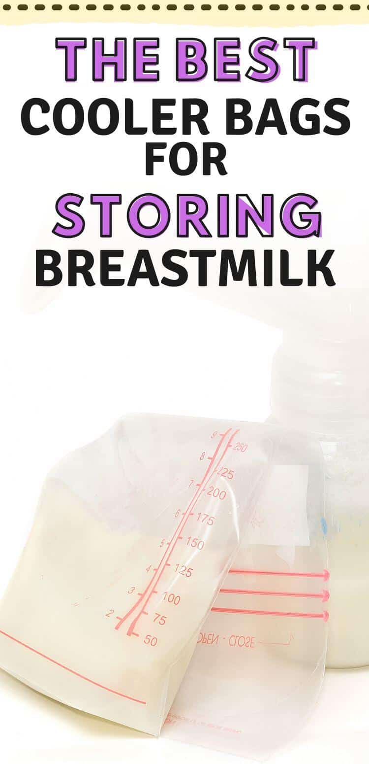 14 Best Breast Milk Cooler Bags 2021 Solutions Mommy