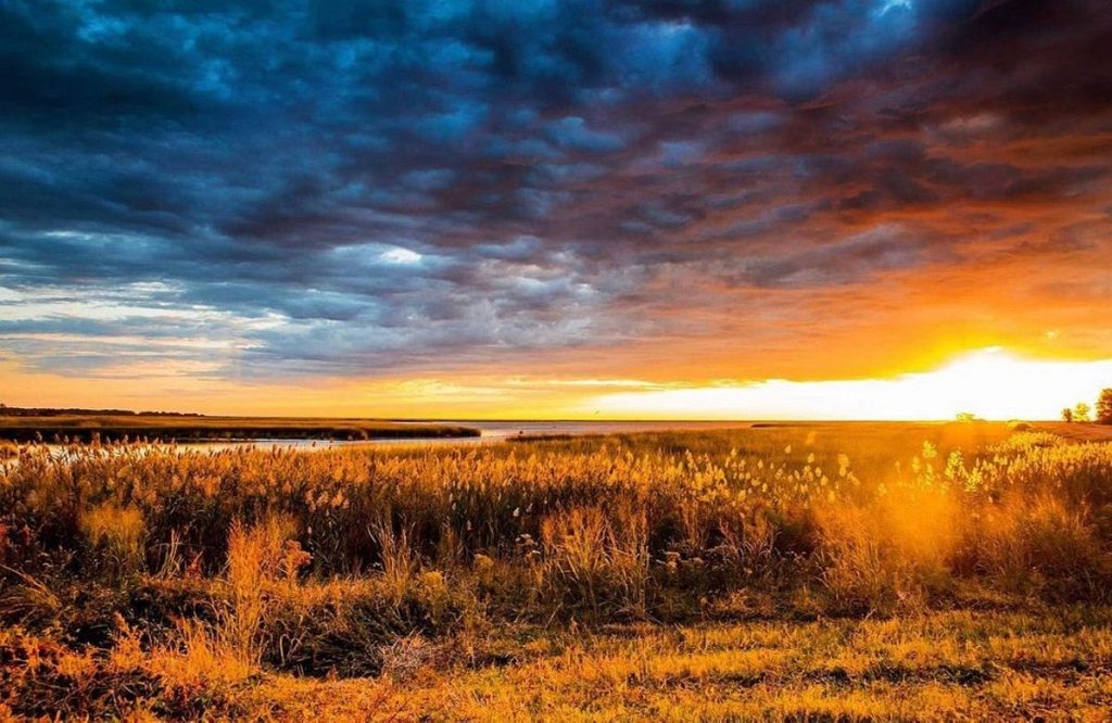 Romantic Getaways In Delaware : Bombay Hook National Wildlife Refuge - Credits: Unsplash