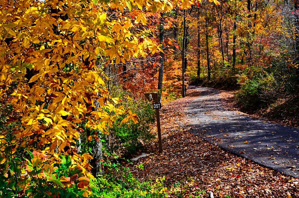 Romantic Getaways In Alabama : DeSoto State Park - Credits: iStock
