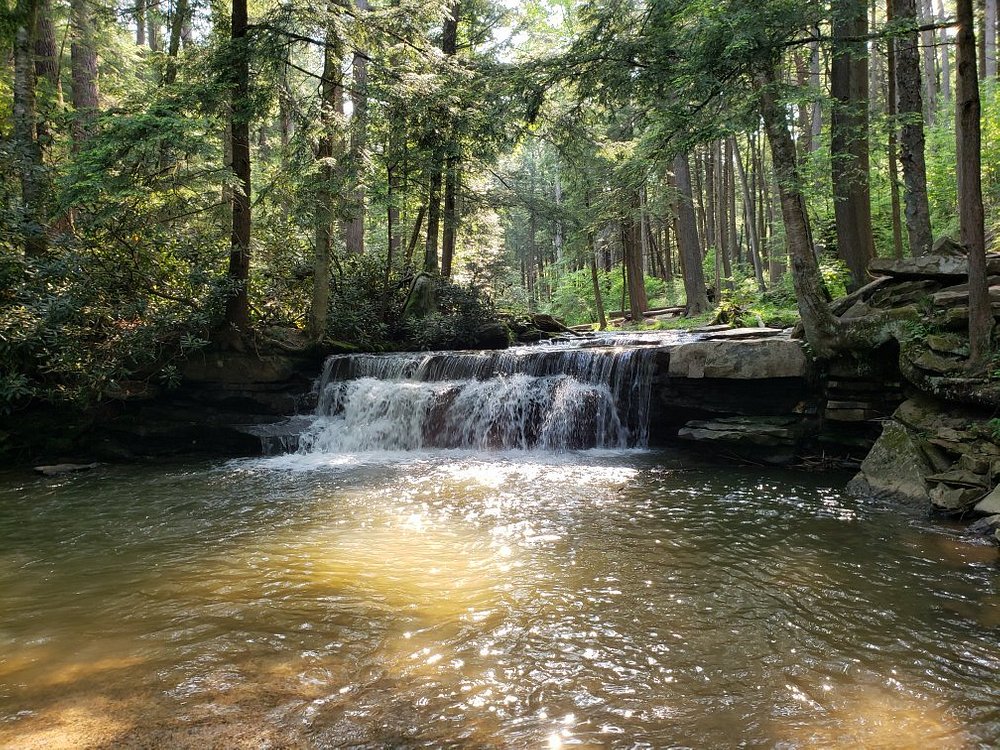 Romantic Getaways In Maryland : Swallow Falls State Park - Credits: Unsplash