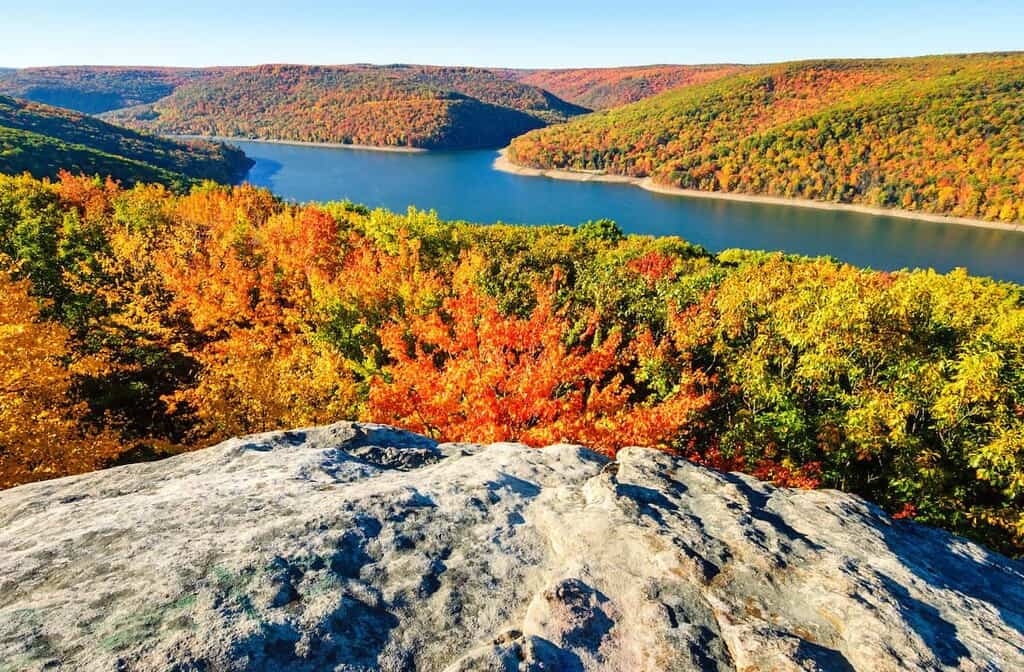 Romantic Getaways In Pennsylvania : Allegheny National Forest - Credits: Instagram