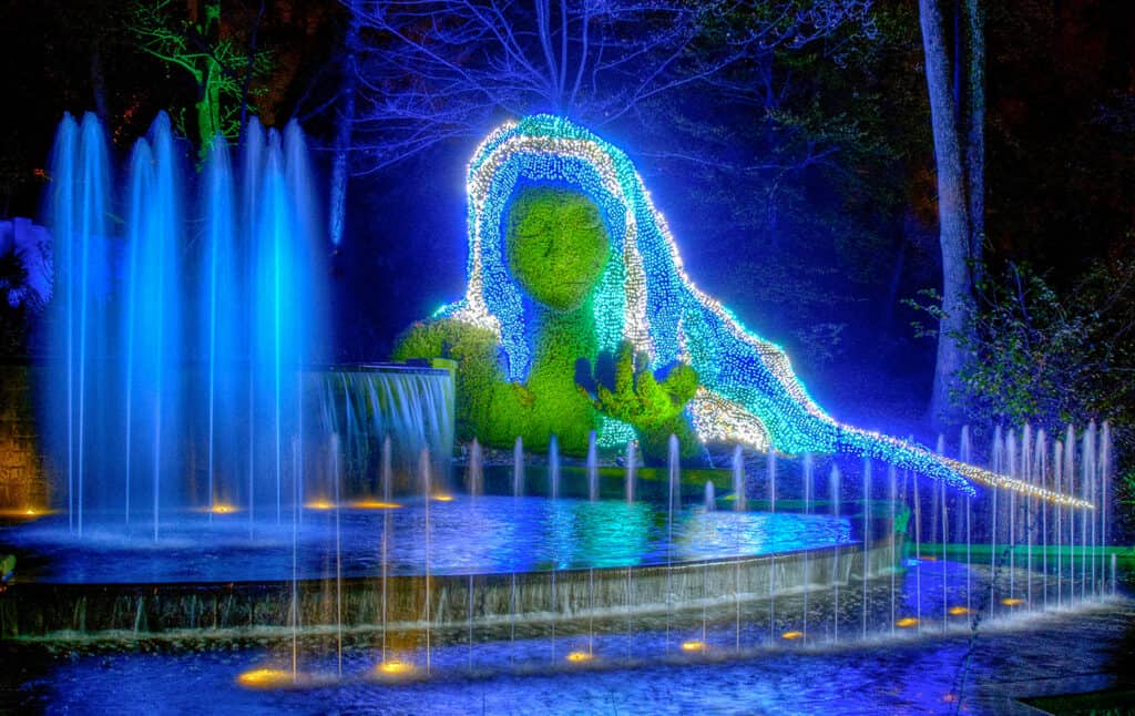 Romantic Things To Do In Atlanta For Couples : Atlanta Botanical Garden - Credits: Pexels