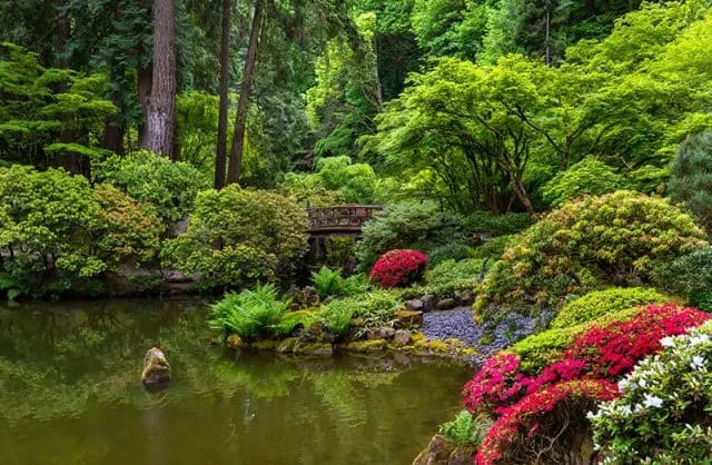Romantic Things To Do In Portland, Oregon : Washington Park - Credits: Unsplash