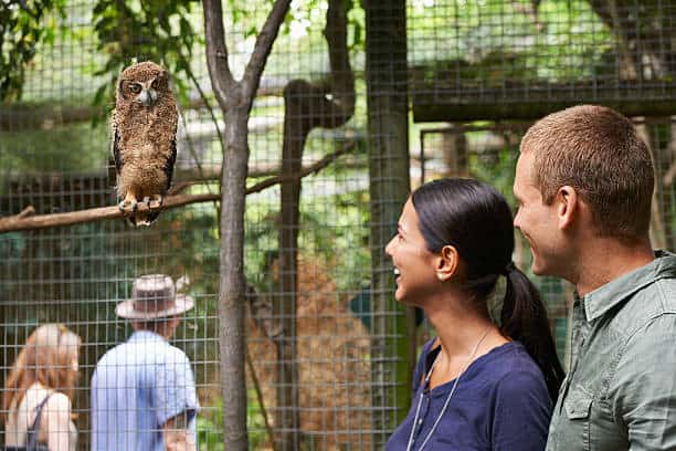 Romantic Things To Do In Chicago, Illinois : Couple at a zoo - Credits: iStock