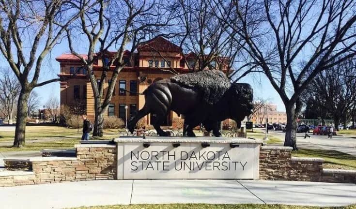 Romantic Things To Do In Fargo, North Dakota : North Dakota State University - Credits: Pexels