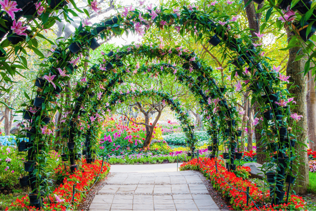 Romantic Things To Do In Tucson, Arizona : Tucson Botanical Gardens - Credits: Pexels
